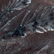 Frosty gullies on the northern plains of Mars. Image Credit: NASA/JPL/University of Arizona
